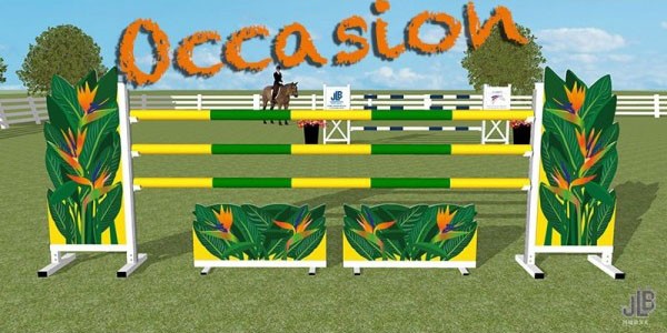 Obstacle d'occasion "prestige" 0180176 - Équipements d'occasion