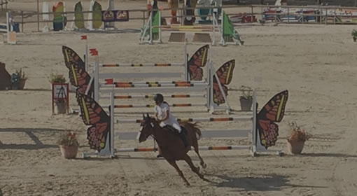 Obstacle Équitation et Matériel Équestre CSO - JLB Horse